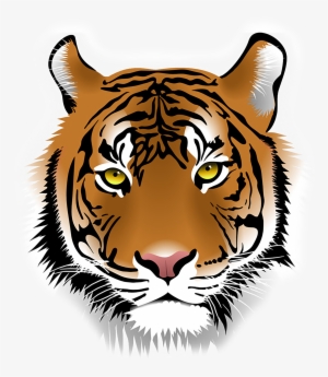 Blountstown Middle School - Bengal Tiger Head Clipart
