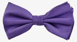 Textured Robin Bow Tie In Purple - Polka Dot
