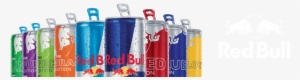 Red Bull - レッドブル エナジードリンク(250ml*24本入)