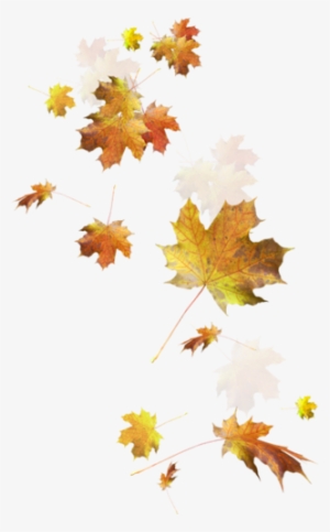 Цветы И Сладость ❤ Liked On Polyvore Featuring Autumn - Fall Leaves Png Transparent