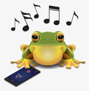 Download The Frogid App, Create A Frogid Account, Find, - True Frog