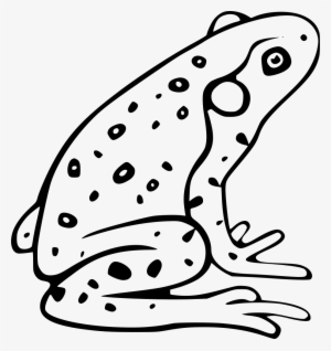 Frog Comments - Icon