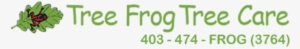 Tree Frog Png