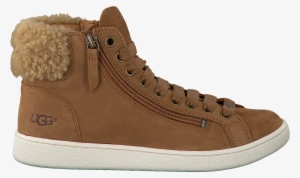 Ugg Olive Sneakers Sale - Shoe