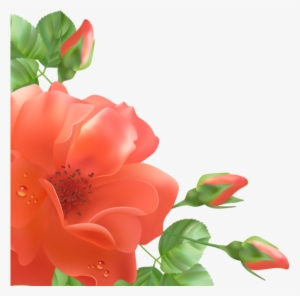 Floral Border, Flower Backgrounds, Bell Pepper, Picture - Dios Te Bendiga Hoy Y Siempre Buenos Dias