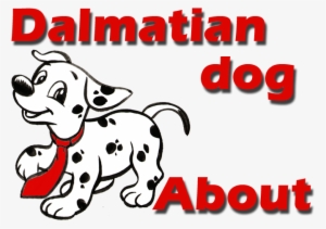 About Dalmatian Dog And Puppies - Dalmatian Dog & Puppy