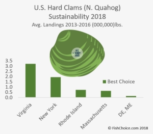 Hard Clam / Northern Quahog Sustainability - Hard Clam