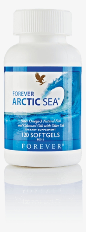 Forever - Forever Arctic Sea