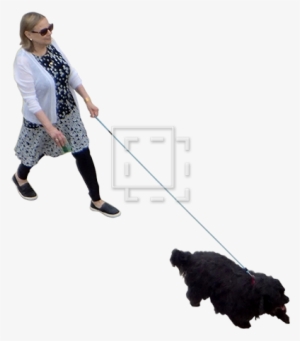 Woman With Dog Overhead View - Dog Walking