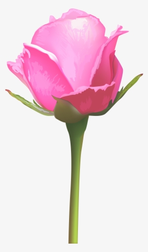 Single Pink Rose Png