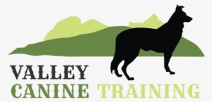 Dog Training Vernon And Lumby Bc - Valley Canine Training