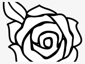 Pink Rose Clipart Border Sketch - Beginner Rose Drawing Easy