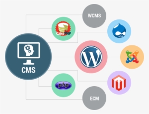 Cms Web Development - Open Source Cms Development