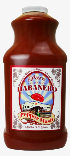 Pure Habanero Pepper Mash Puree 1 Gallon $80