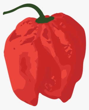 Habanero-red - Red Bell Pepper
