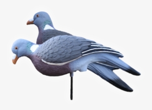 Enforcer Pigeon Decoys