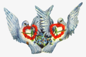 Valentine Pigeons With Hearts Of Roses Png - Turturduvor