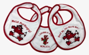 Welsh Embroidered Baby Bib - Wales
