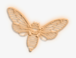 Butterfly 16 Transparent Background Png Transparent - Portable Network Graphics