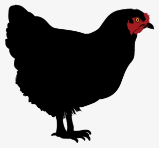 Chicken Silhouette - Chicken Silhouette Clip Art