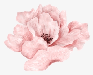 Watercolors - Pink Flowers Png
