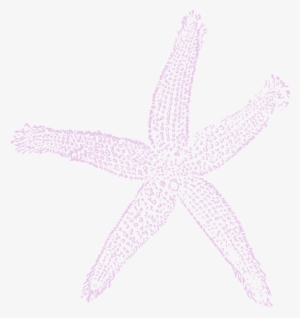 White Starfish Png - Fish Clip Art