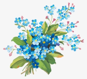 12 - Forget Me Not Flower Png