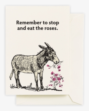 Donkey Eating Roses