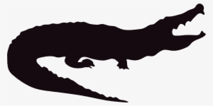 Alligator Png Hd - Do Not Feed The Alligator Sign