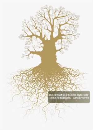 oaktree2 - roots vector