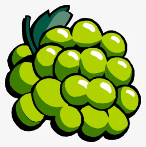 How To Set Use White Grapes Clipart