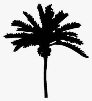 Silhouettes Of Palm Trees Png - Silhouette Cute Black Tree Png