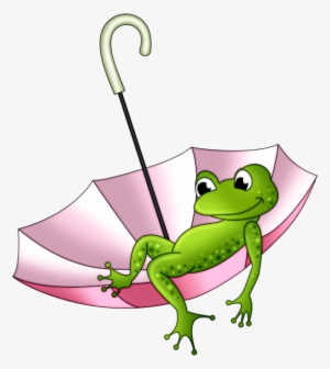 Dcd Prch Happy Frog - Zon En Regen Goodmorning