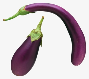 Collection Of Free Bell Peppers And Chili Peppers Cliparts - Long Eggplant Png