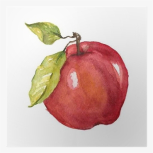 Watercolor Hand Drawn Apple Poster - Apple Fruit Drawing Watercolor