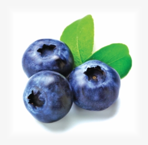 Blueberry - Imported Fruits In India