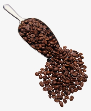 Coffee Beans Scoop Png