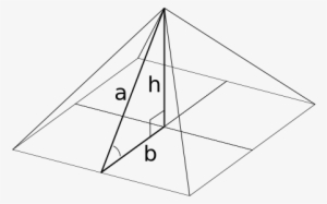 Mathematical Pyramid - Geometric Angelfish