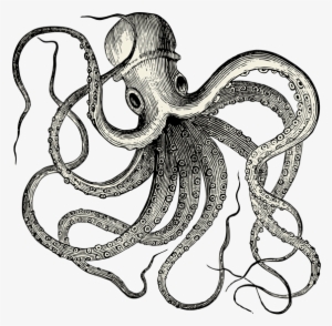 Download - Octopus Vintage