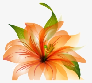 Flower Vector Png - Orange Lily Flower Shower Curtain