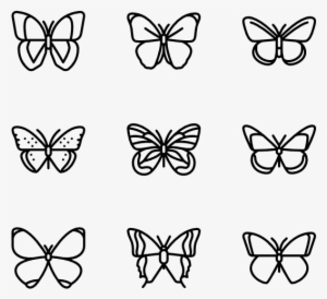 Butterflies - Swallowtail Butterfly