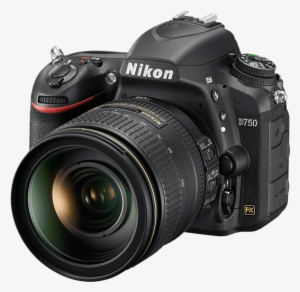 1543 D750 Left - Nikon D750 24 120mm Vr