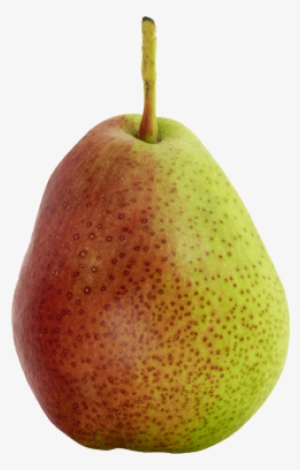 Forelle - Asian Pear