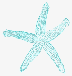 Turquoise Starfish - Aqua Starfish Clipart