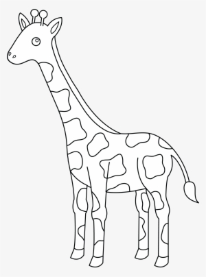 Giraffe - Giraf Cartoon Black Background