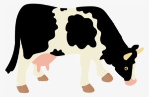 Cow With No Background