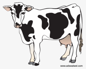 Cattle Clipart Nativity - Clipart Of A Cow