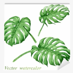 Set Of Watercolor Tropical Plants Leaves - Vector Tropical Plants Aquarell