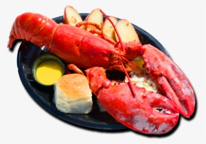 20th Annual Redondo Beach Lobster Festival Is The New - Lobster Festival Redondo Beach