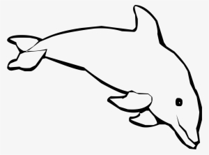 Spinner Dolphin Coloring Book - Coloring Pages Of Real Dolphin